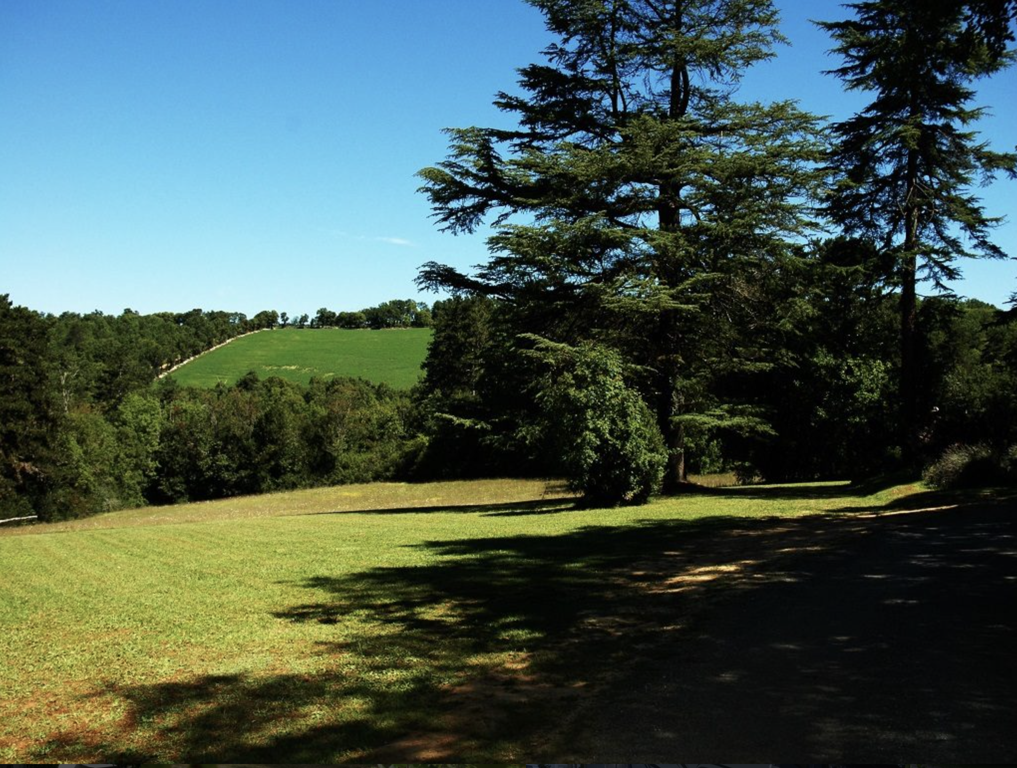 Photo: The parkland & château ruins
