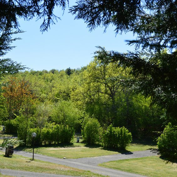 Photo : Le parc et les vestiges du château